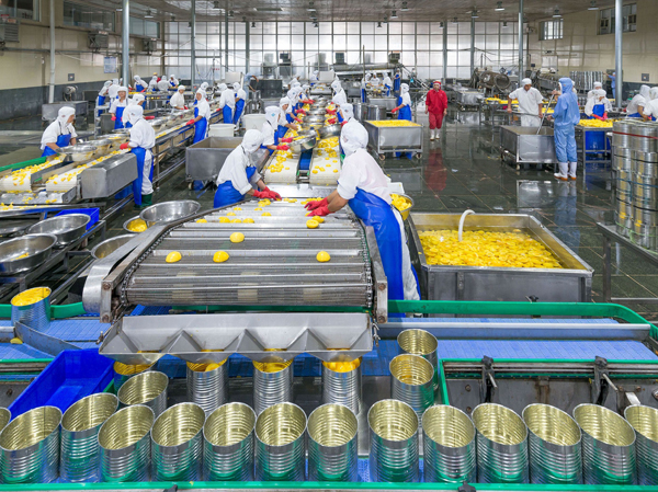 ผู้ผลิตโรงงานผลิตเครื่องดื่มบรรจุกระป๋องอัตโนมัติ